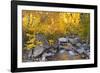 Fall color along Bishop Creek, Inyo National Forest, Sierra Nevada Mountains, California, USA.-Russ Bishop-Framed Photographic Print