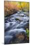 Fall Color Along Lundy Creek, Inyo National Forest, Sierra Nevada Mountains, California, Usa-Russ Bishop-Mounted Photographic Print