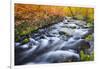 Fall Color Along Lundy Creek, Inyo National Forest, Sierra Nevada Mountains, California, Usa-Russ Bishop-Framed Photographic Print