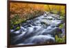 Fall Color Along Lundy Creek, Inyo National Forest, Sierra Nevada Mountains, California, Usa-Russ Bishop-Framed Photographic Print