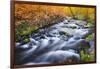 Fall Color Along Lundy Creek, Inyo National Forest, Sierra Nevada Mountains, California, Usa-Russ Bishop-Framed Photographic Print