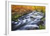 Fall Color Along Lundy Creek, Inyo National Forest, Sierra Nevada Mountains, California, Usa-Russ Bishop-Framed Photographic Print