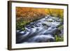 Fall Color Along Lundy Creek, Inyo National Forest, Sierra Nevada Mountains, California, Usa-Russ Bishop-Framed Photographic Print