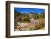 Fall color along Mineral Creek under Red Mountain Pass, San Juan National Forest, Colorado, USA-Russ Bishop-Framed Photographic Print