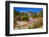 Fall color along Mineral Creek under Red Mountain Pass, San Juan National Forest, Colorado, USA-Russ Bishop-Framed Photographic Print