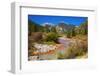 Fall color along Mineral Creek under Red Mountain Pass, San Juan National Forest, Colorado, USA-Russ Bishop-Framed Photographic Print