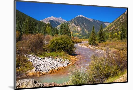 Fall color along Mineral Creek under Red Mountain Pass, San Juan National Forest, Colorado, USA-Russ Bishop-Mounted Photographic Print