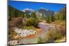 Fall color along Mineral Creek under Red Mountain Pass, San Juan National Forest, Colorado, USA-Russ Bishop-Mounted Photographic Print