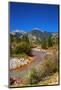 Fall color along Mineral Creek under Red Mountain Pass, San Juan National Forest, Colorado, USA-Russ Bishop-Mounted Photographic Print