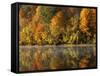 Fall color along the New River, Appalachian Mountains, Jefferson National Forest, Virginia, USA-Charles Gurche-Framed Stretched Canvas