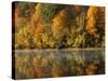 Fall color along the New River, Appalachian Mountains, Jefferson National Forest, Virginia, USA-Charles Gurche-Stretched Canvas