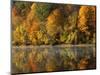 Fall color along the New River, Appalachian Mountains, Jefferson National Forest, Virginia, USA-Charles Gurche-Mounted Photographic Print