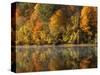 Fall color along the New River, Appalachian Mountains, Jefferson National Forest, Virginia, USA-Charles Gurche-Stretched Canvas