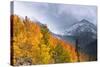 Fall Color and Early Snow at North Lake, Inyo National Forest, California-Russ Bishop-Stretched Canvas