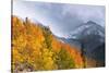 Fall Color and Early Snow at North Lake, Inyo National Forest, California-Russ Bishop-Stretched Canvas