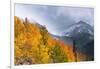 Fall Color and Early Snow at North Lake, Inyo National Forest, California-Russ Bishop-Framed Photographic Print