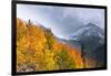 Fall Color and Early Snow at North Lake, Inyo National Forest, California-Russ Bishop-Framed Photographic Print