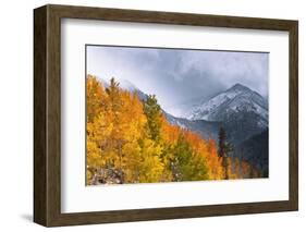 Fall Color and Early Snow at North Lake, Inyo National Forest, California-Russ Bishop-Framed Photographic Print