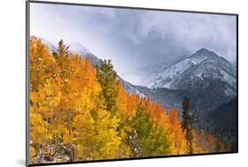 Fall Color and Early Snow at North Lake, Inyo National Forest, California-Russ Bishop-Mounted Photographic Print