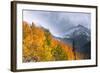 Fall Color and Early Snow at North Lake, Inyo National Forest, California-Russ Bishop-Framed Photographic Print