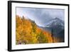 Fall Color and Early Snow at North Lake, Inyo National Forest, California-Russ Bishop-Framed Photographic Print