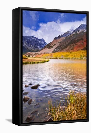 Fall Color and Early Snow at North Lake, Inyo National Forest, California-Russ Bishop-Framed Stretched Canvas