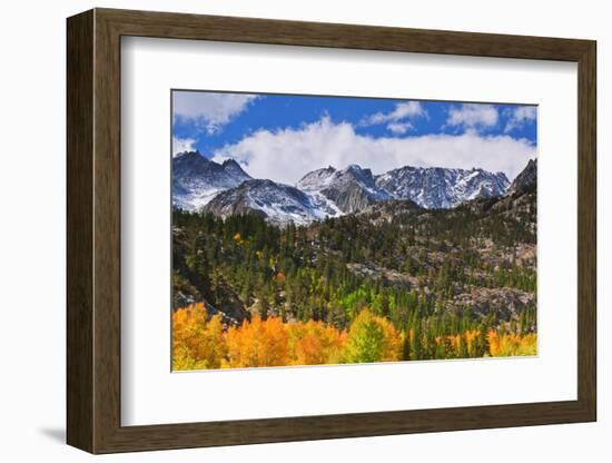 Fall color and early snow at North Lake, Inyo National Forest, Sierra Nevada Mountains, California-Russ Bishop-Framed Photographic Print