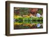 Fall color and grasses along the Merced River, Yosemite Valley, Yosemite National Park, California-Russ Bishop-Framed Photographic Print