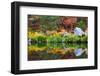 Fall color and grasses along the Merced River, Yosemite Valley, Yosemite National Park, California-Russ Bishop-Framed Photographic Print