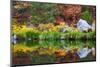 Fall color and grasses along the Merced River, Yosemite Valley, Yosemite National Park, California-Russ Bishop-Mounted Photographic Print