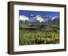 Fall Color and Landscape, Mt. Sneffels Wilderness, Colorado, USA-Gavriel Jecan-Framed Photographic Print