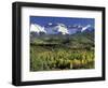 Fall Color and Landscape, Mt. Sneffels Wilderness, Colorado, USA-Gavriel Jecan-Framed Photographic Print