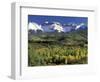 Fall Color and Landscape, Mt. Sneffels Wilderness, Colorado, USA-Gavriel Jecan-Framed Photographic Print