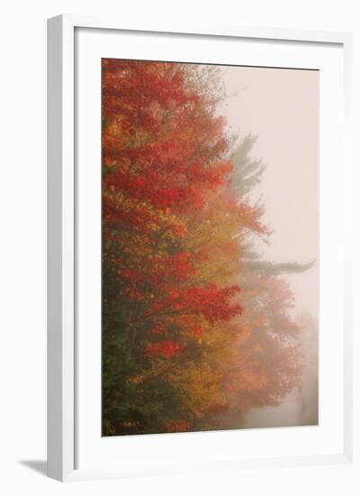 Fall Color and Mist, New Hampshire-Vincent James-Framed Photographic Print