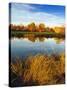 Fall Color and Reflection in the Yakima Arboretum, Yakima, Washington, Usa-Richard Duval-Stretched Canvas