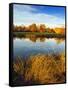 Fall Color and Reflection in the Yakima Arboretum, Yakima, Washington, Usa-Richard Duval-Framed Stretched Canvas