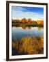 Fall Color and Reflection in the Yakima Arboretum, Yakima, Washington, Usa-Richard Duval-Framed Premium Photographic Print