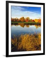 Fall Color and Reflection in the Yakima Arboretum, Yakima, Washington, Usa-Richard Duval-Framed Premium Photographic Print