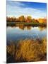 Fall Color and Reflection in the Yakima Arboretum, Yakima, Washington, Usa-Richard Duval-Mounted Premium Photographic Print