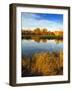 Fall Color and Reflection in the Yakima Arboretum, Yakima, Washington, Usa-Richard Duval-Framed Photographic Print