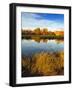 Fall Color and Reflection in the Yakima Arboretum, Yakima, Washington, Usa-Richard Duval-Framed Photographic Print