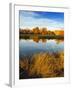 Fall Color and Reflection in the Yakima Arboretum, Yakima, Washington, Usa-Richard Duval-Framed Photographic Print