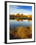 Fall Color and Reflection in the Yakima Arboretum, Yakima, Washington, Usa-Richard Duval-Framed Photographic Print