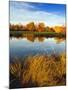 Fall Color and Reflection in the Yakima Arboretum, Yakima, Washington, Usa-Richard Duval-Mounted Photographic Print