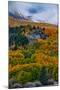 Fall Color and Stormy Skies in the Eastern Sierras, June Lake-Vincent James-Mounted Photographic Print