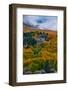 Fall Color and Stormy Skies in the Eastern Sierras, June Lake-Vincent James-Framed Photographic Print