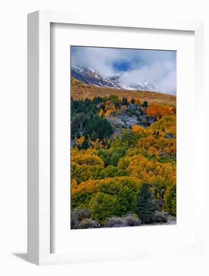 Fall Color and Stormy Skies in the Eastern Sierras, June Lake-Vincent James-Framed Photographic Print