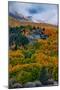 Fall Color and Stormy Skies in the Eastern Sierras, June Lake-Vincent James-Mounted Photographic Print
