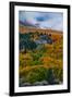 Fall Color and Stormy Skies in the Eastern Sierras, June Lake-Vincent James-Framed Premium Photographic Print
