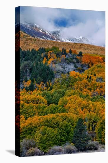 Fall Color and Stormy Skies in the Eastern Sierras, June Lake-Vincent James-Stretched Canvas
